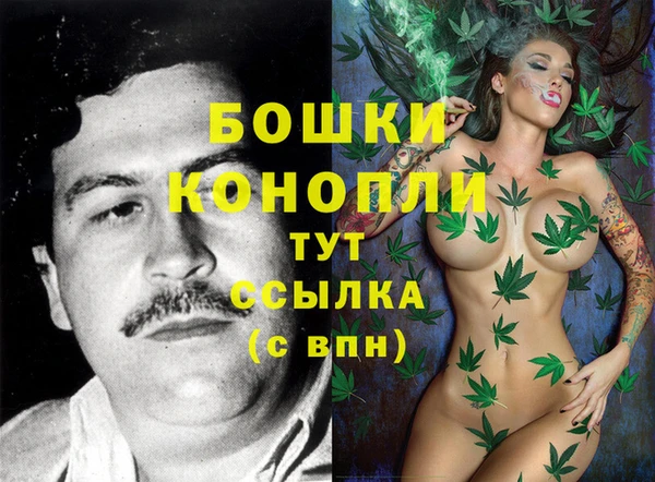 Альфа ПВП Аркадак