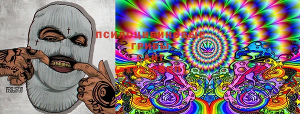 PSILOCYBIN Арсеньев