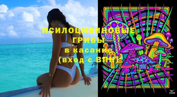 PSILOCYBIN Арсеньев